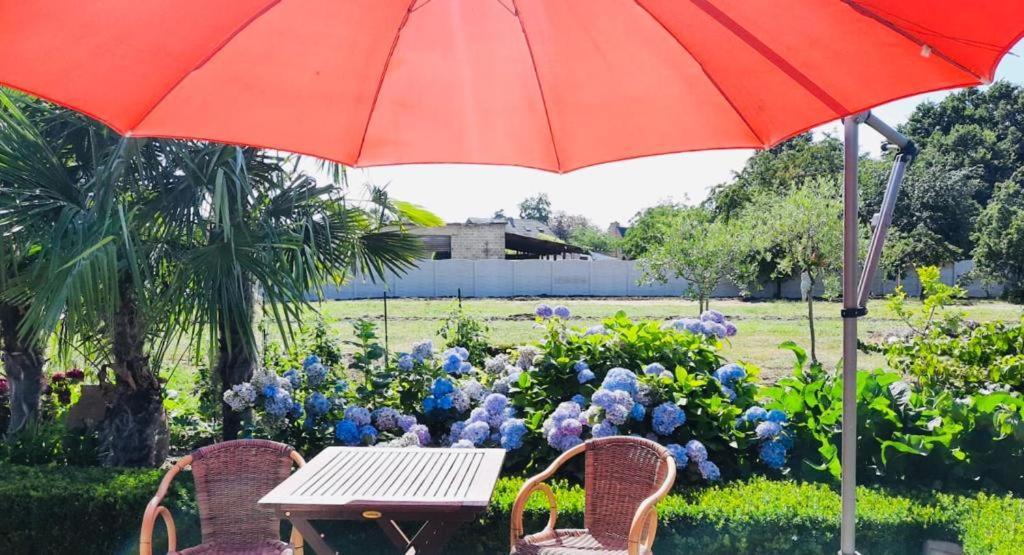 B&B Casa Roman & Vakantiewoning Voor 1 Pers Tot Max 32 Personen 존호벤 외부 사진