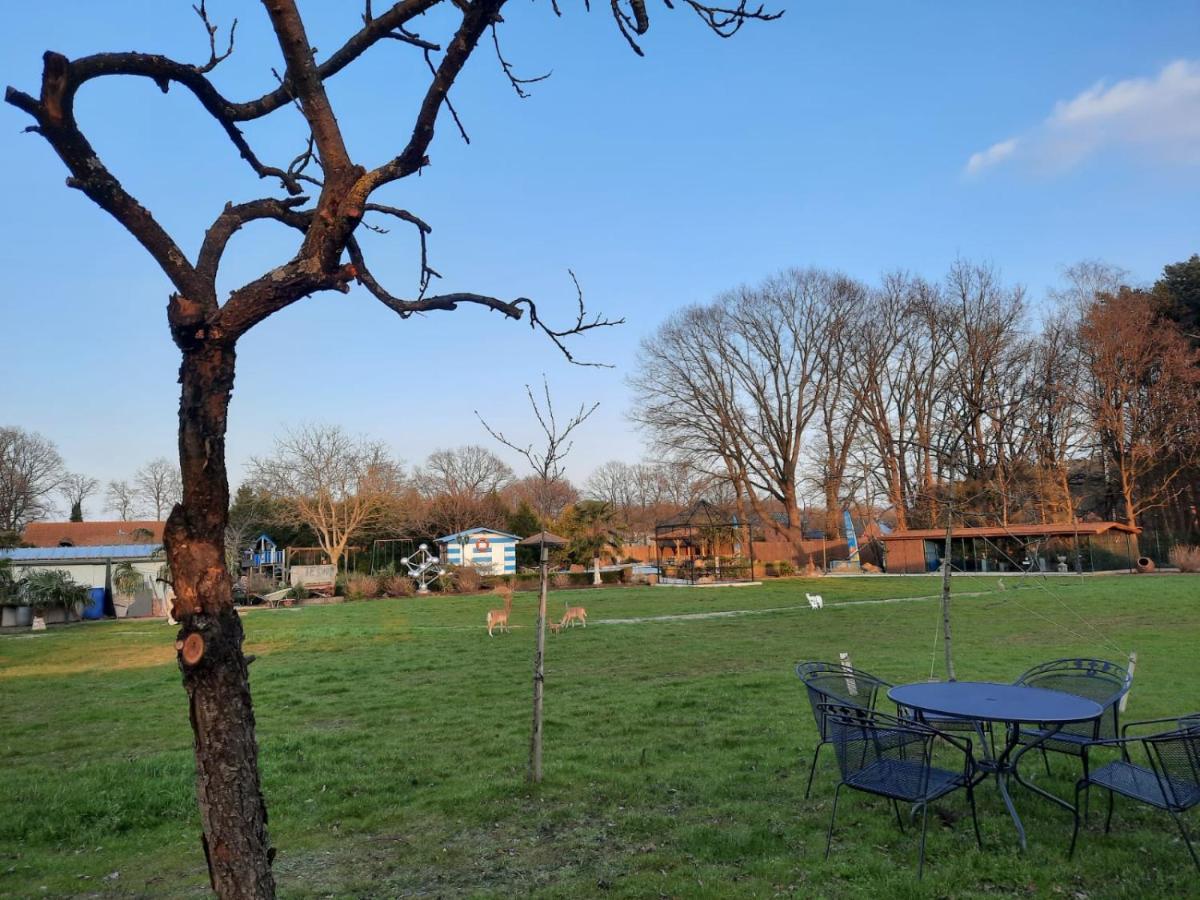 B&B Casa Roman & Vakantiewoning Voor 1 Pers Tot Max 32 Personen 존호벤 외부 사진