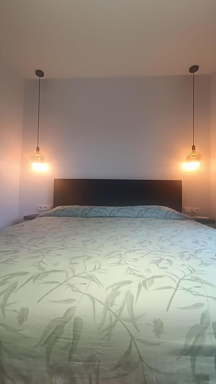 B&B Casa Roman & Vakantiewoning Voor 1 Pers Tot Max 32 Personen 존호벤 외부 사진