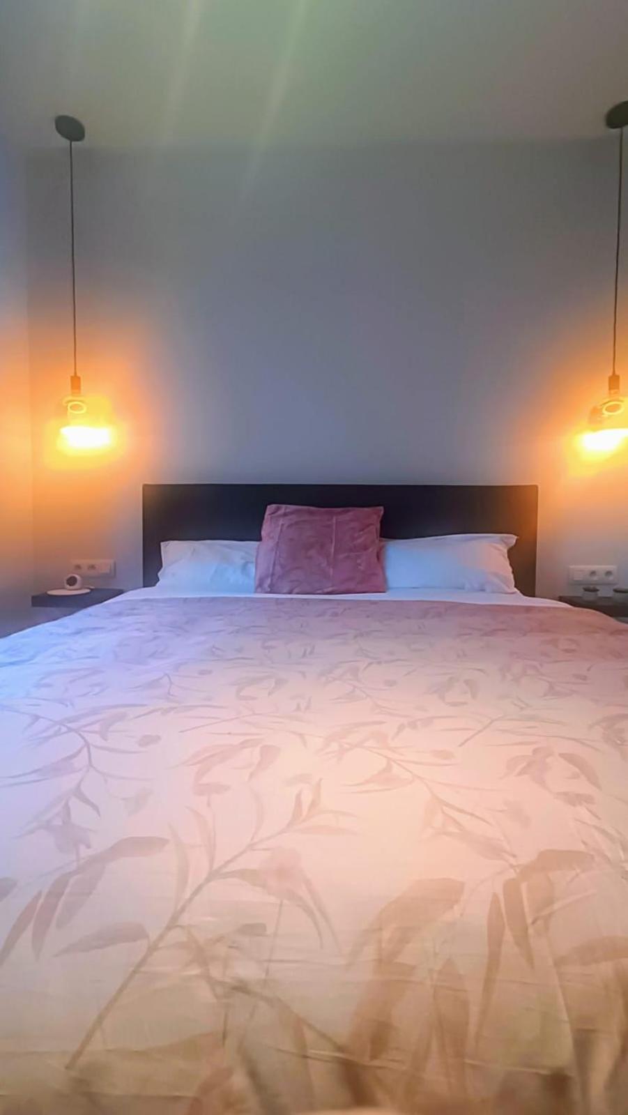 B&B Casa Roman & Vakantiewoning Voor 1 Pers Tot Max 32 Personen 존호벤 외부 사진