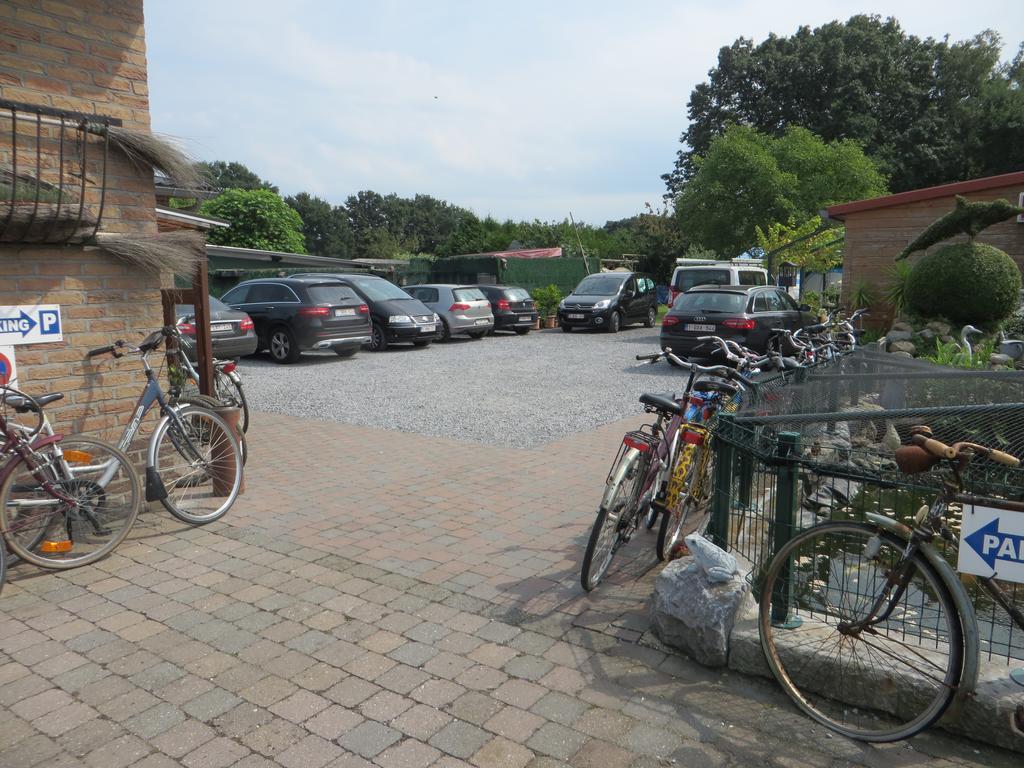 B&B Casa Roman & Vakantiewoning Voor 1 Pers Tot Max 32 Personen 존호벤 외부 사진